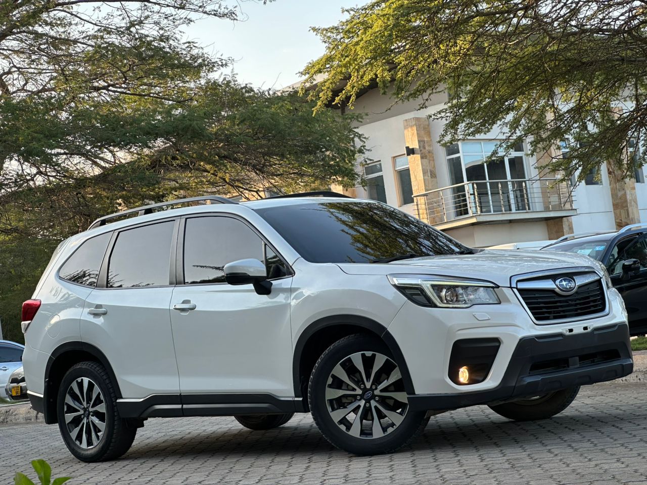 FORESTER